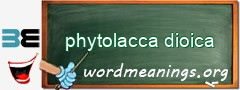 WordMeaning blackboard for phytolacca dioica